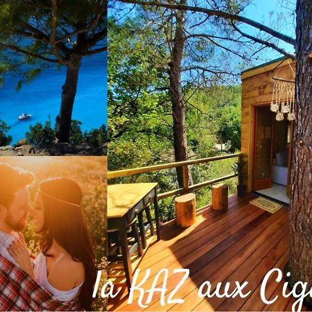 Cabane Dans Les Arbres "La Kaz Aux Cigales" Cuers Exterior foto